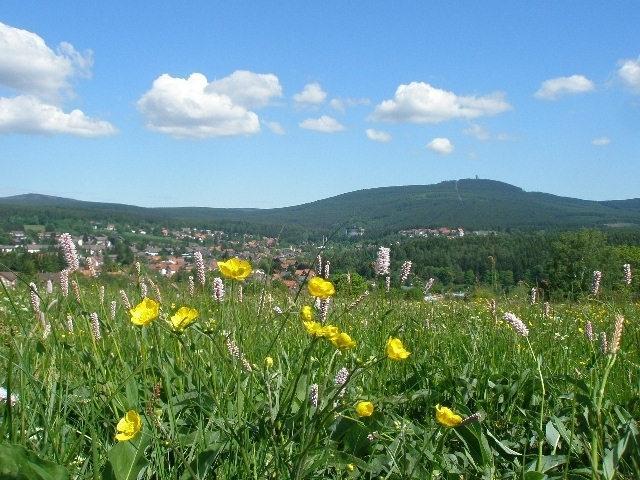 Harzpension Haus Koenigskopf Braunlage Luaran gambar